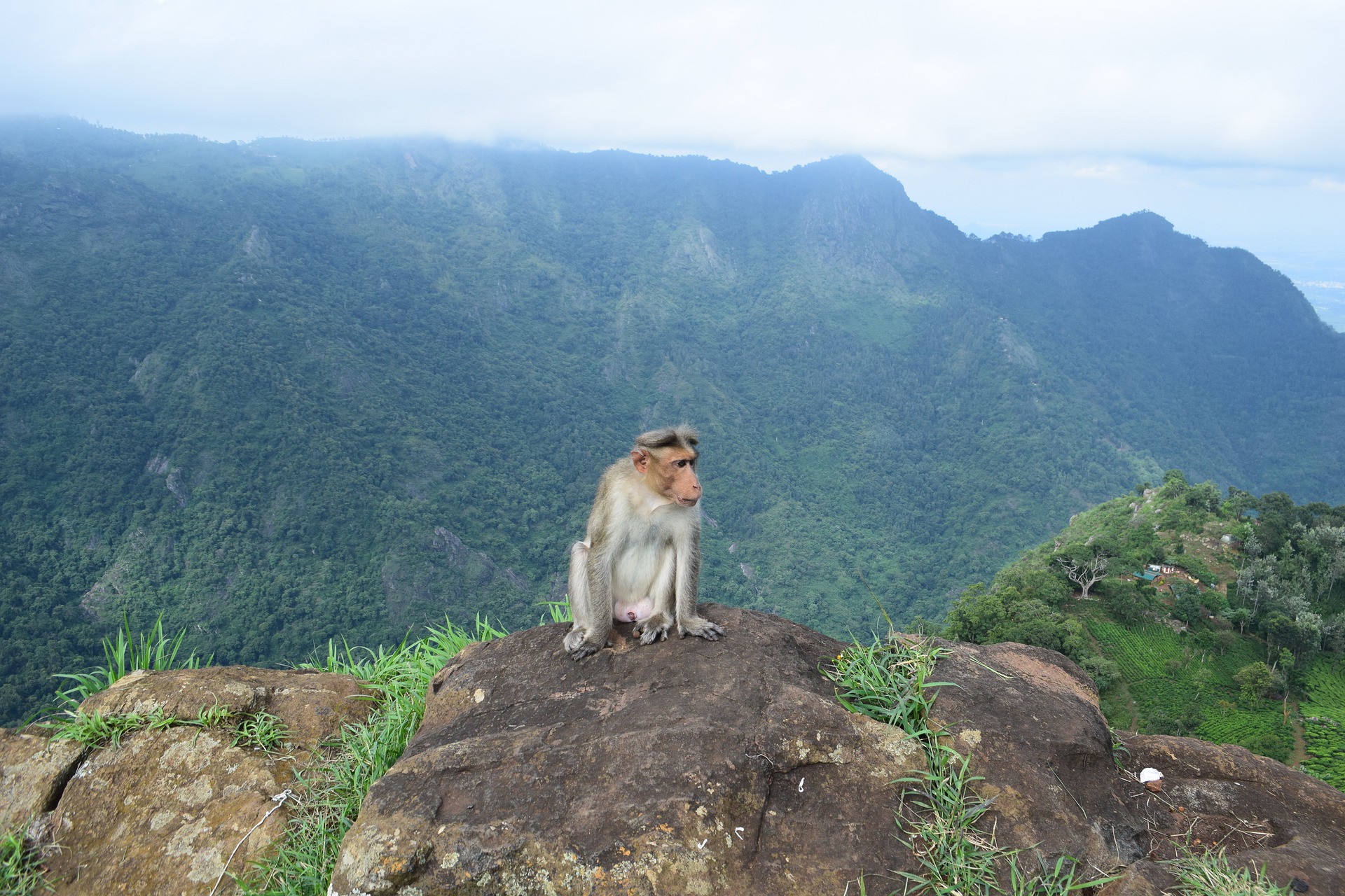 ooty image