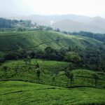 munnar-3978403_1920
