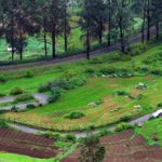 Ooty