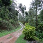coorg image