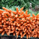 Fresh Vegetables