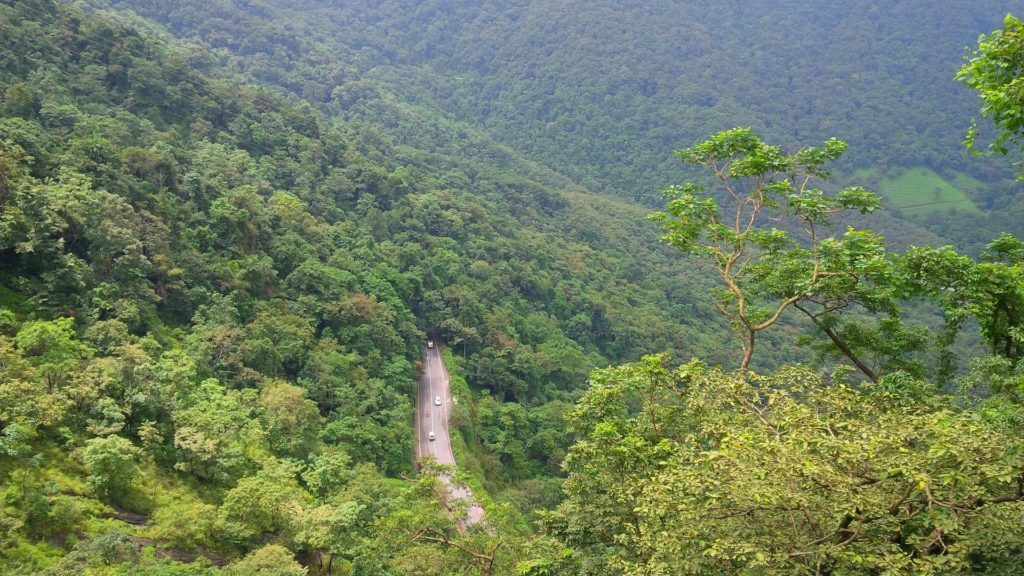 wayanad image